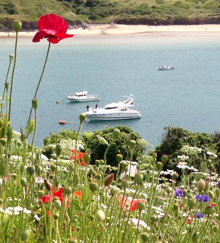 Cyntwell Guest Accommodation Padstow Eksteriør bilde